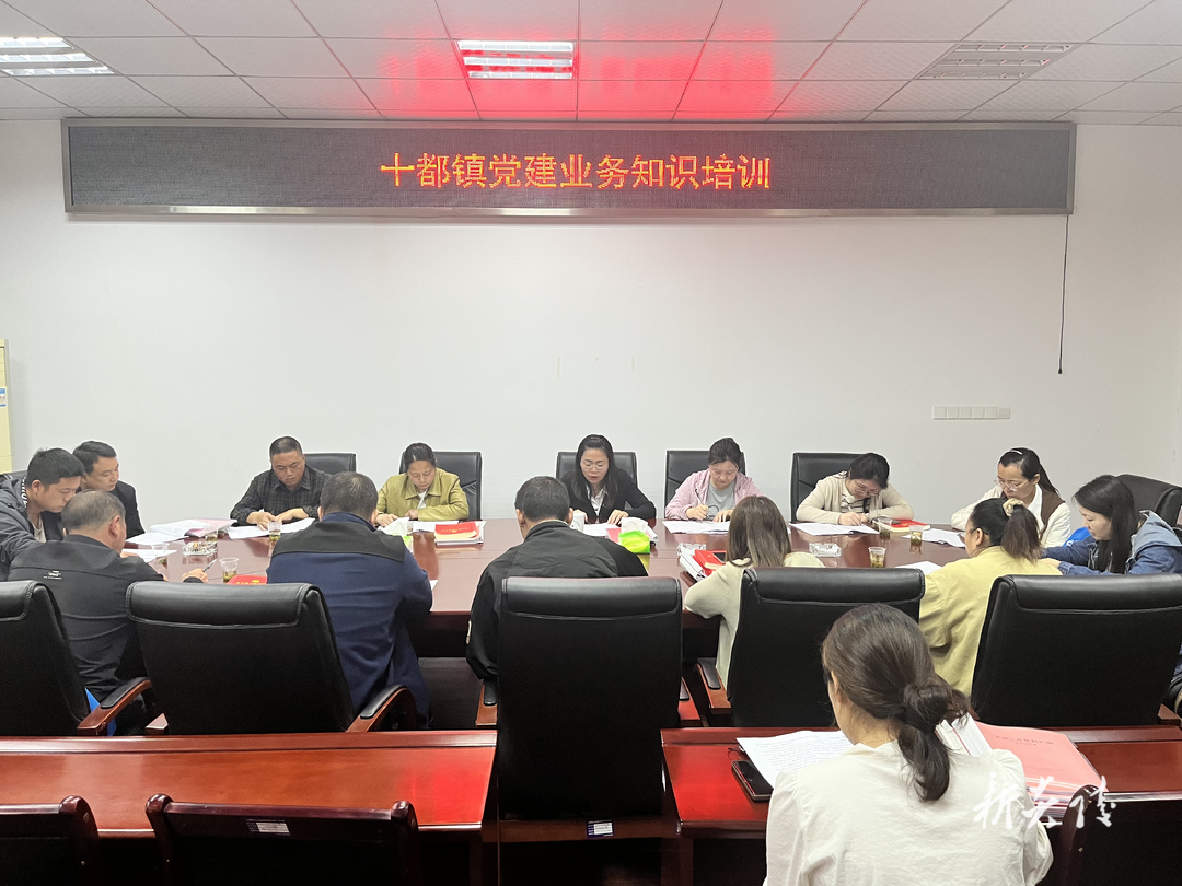 十都镇：充电赋能强动力 党务培训促提升