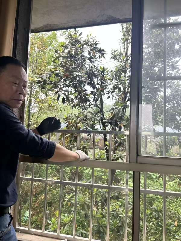 为生命“开窗”，白关镇开展“拆窗破网”整治行动