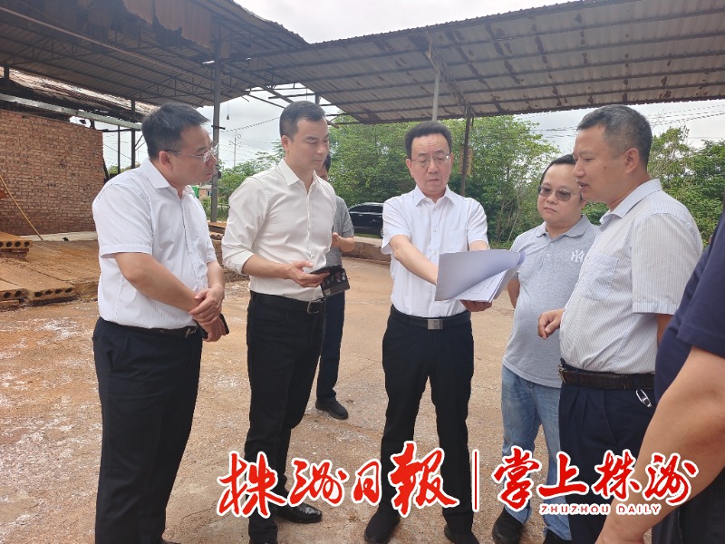 市领导到醴陵督导环保工作