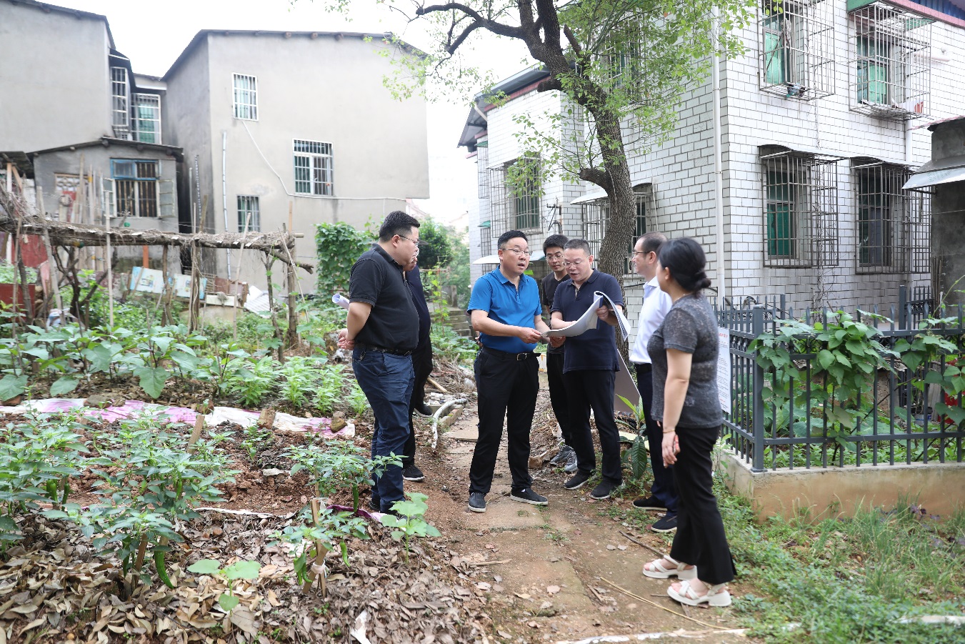 徐业伟调研湘江风光带和城中村改造规划工作