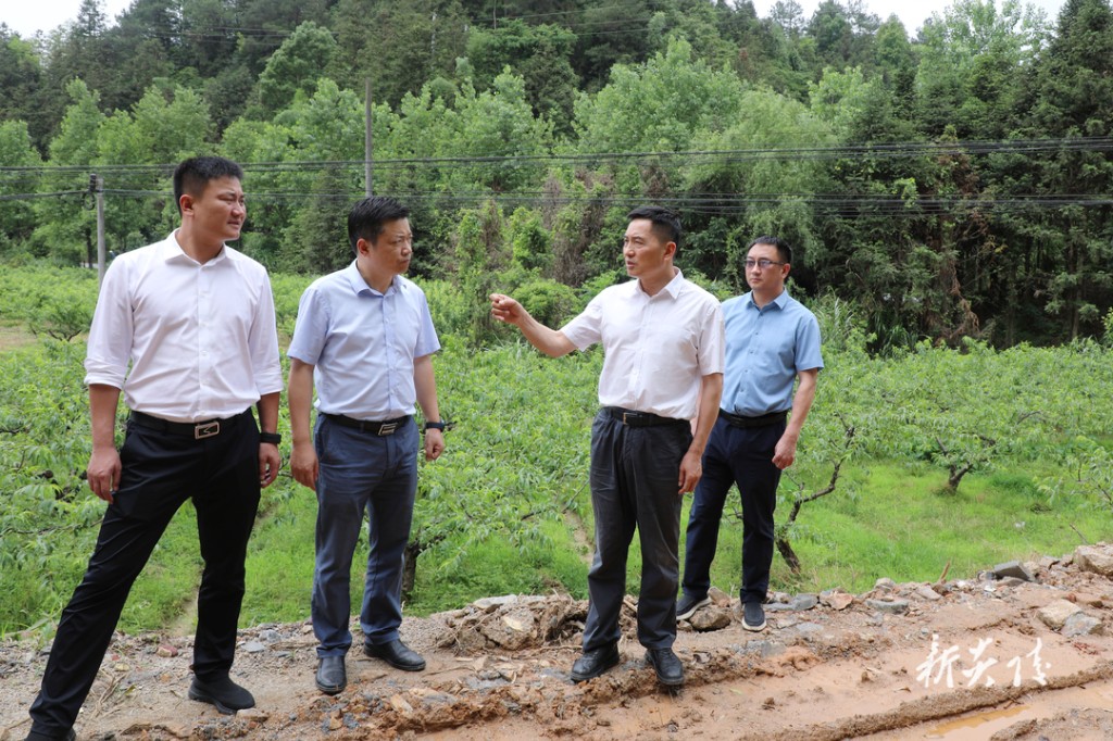 尹朝晖到沔渡镇和霞阳镇暗访生态环境保护工作