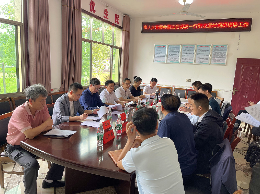 市人大常委会副主任胡波一行到龙潭村调研指导工作
