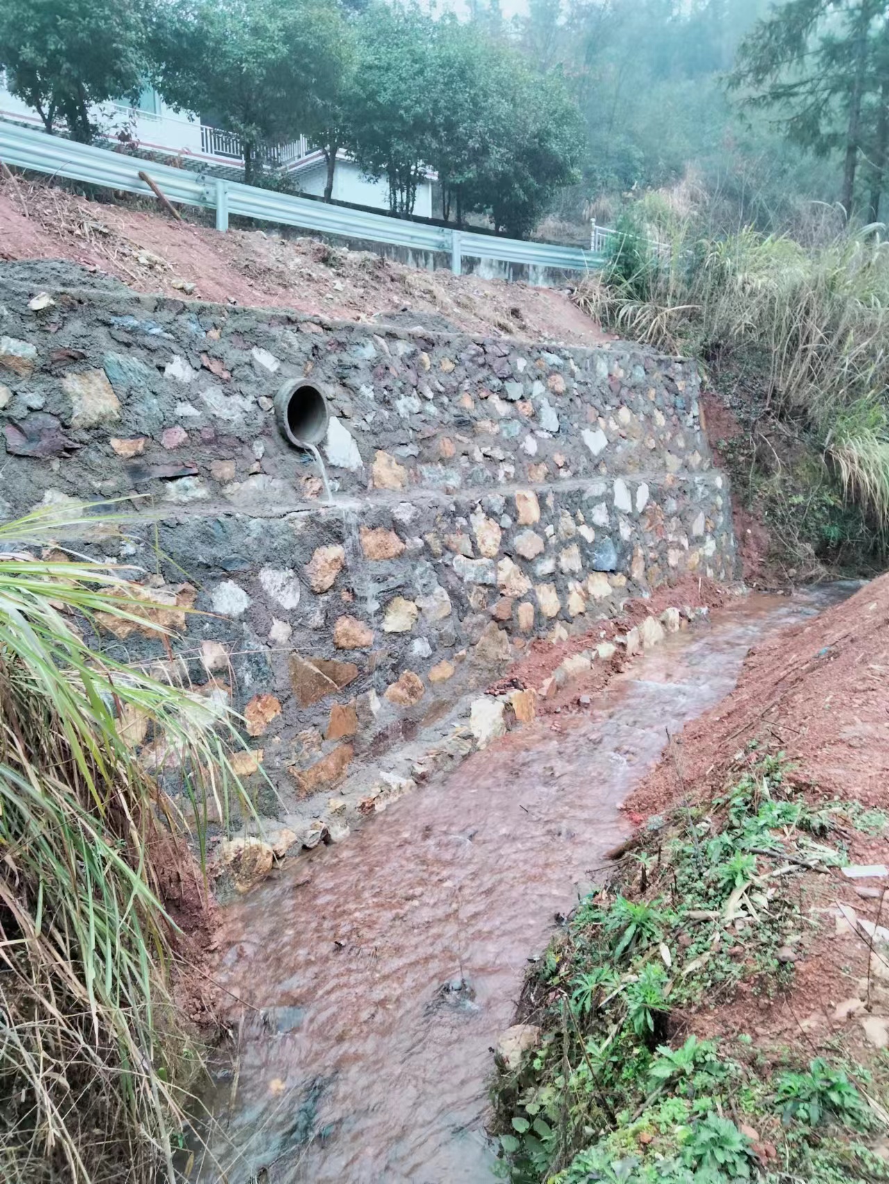 联星街道：情系群众办实事 维修道路暖民心