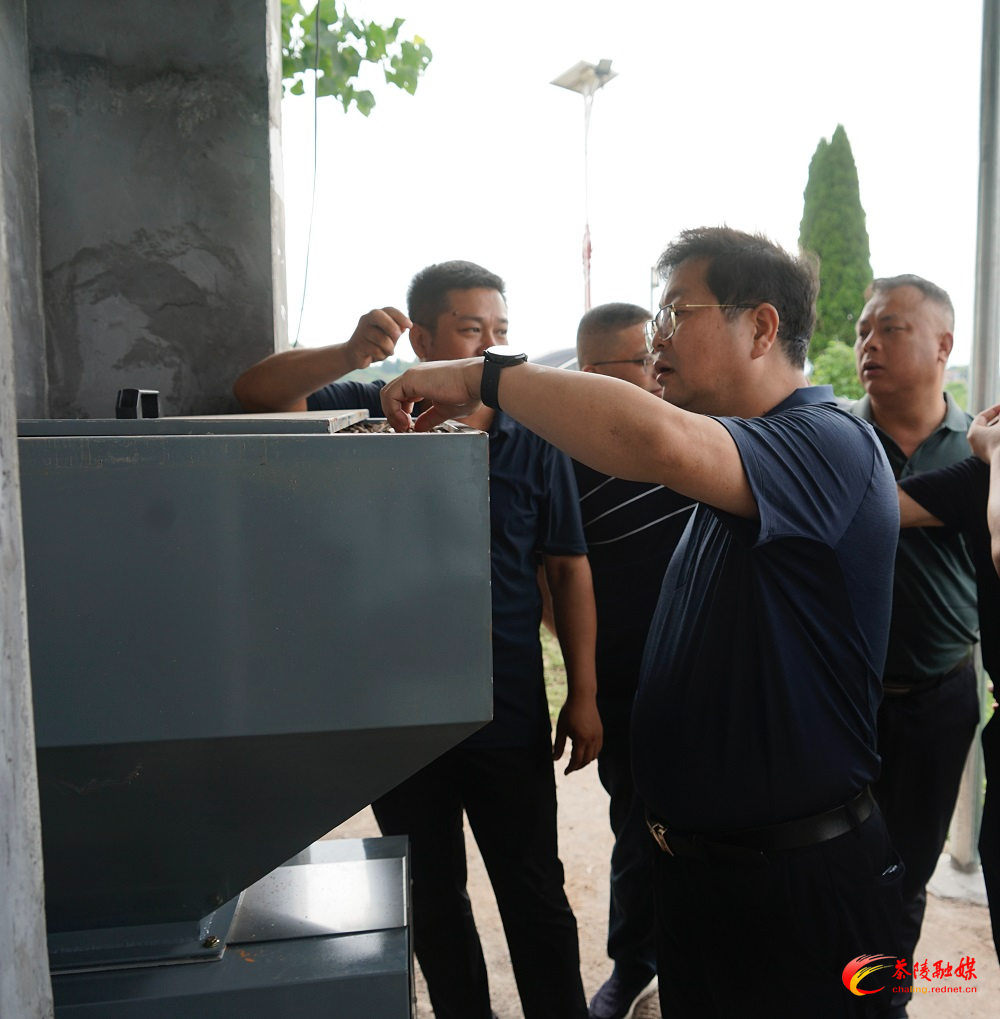 杨红兵到界首镇督导调研