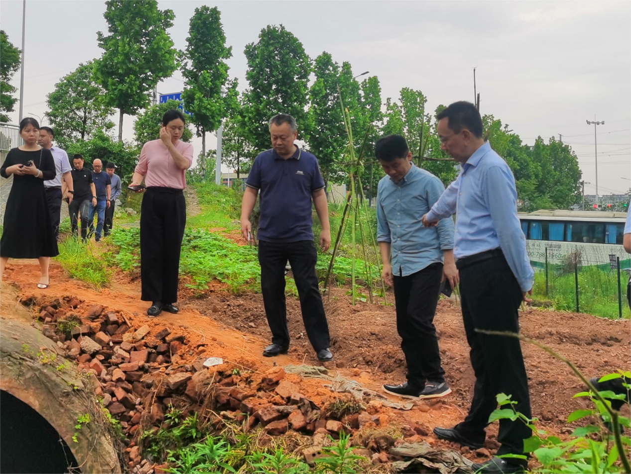 易湘东副市长督查有关生态环境突出问题