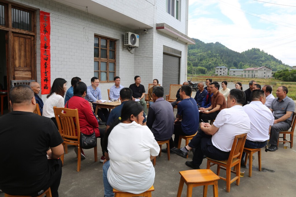 夏胜利在水口镇调研乡村振兴工作