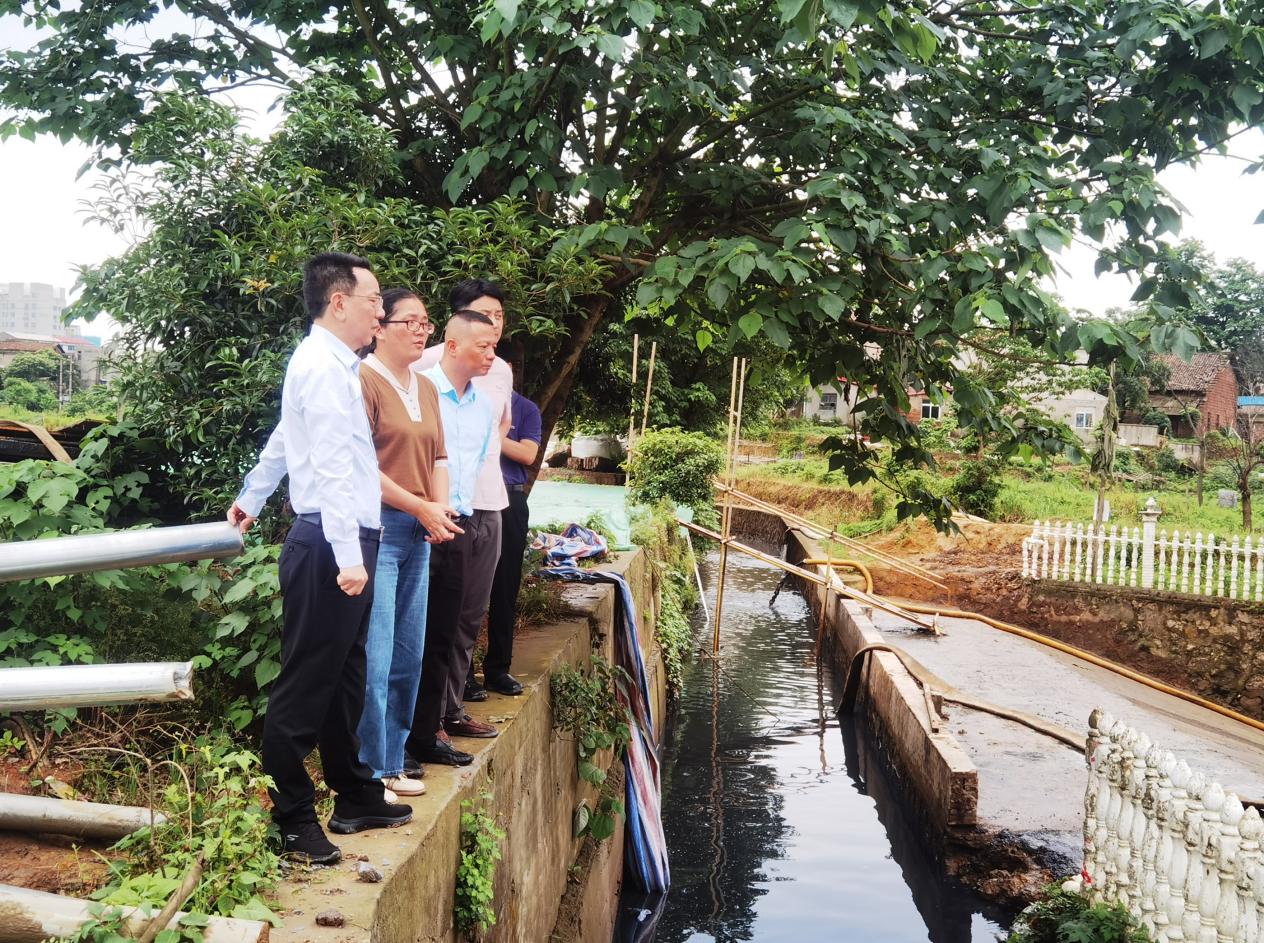 副市长易湘东调研雨污分流等工作