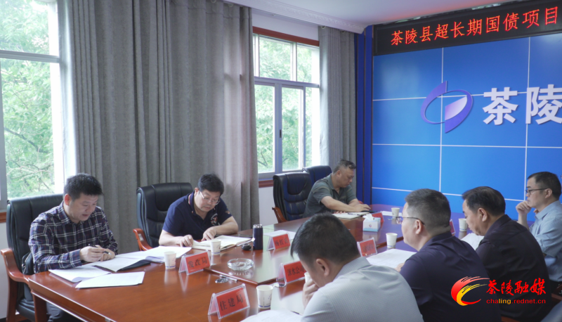 杨红兵主持召开茶陵县超长期国债项目申报推进会