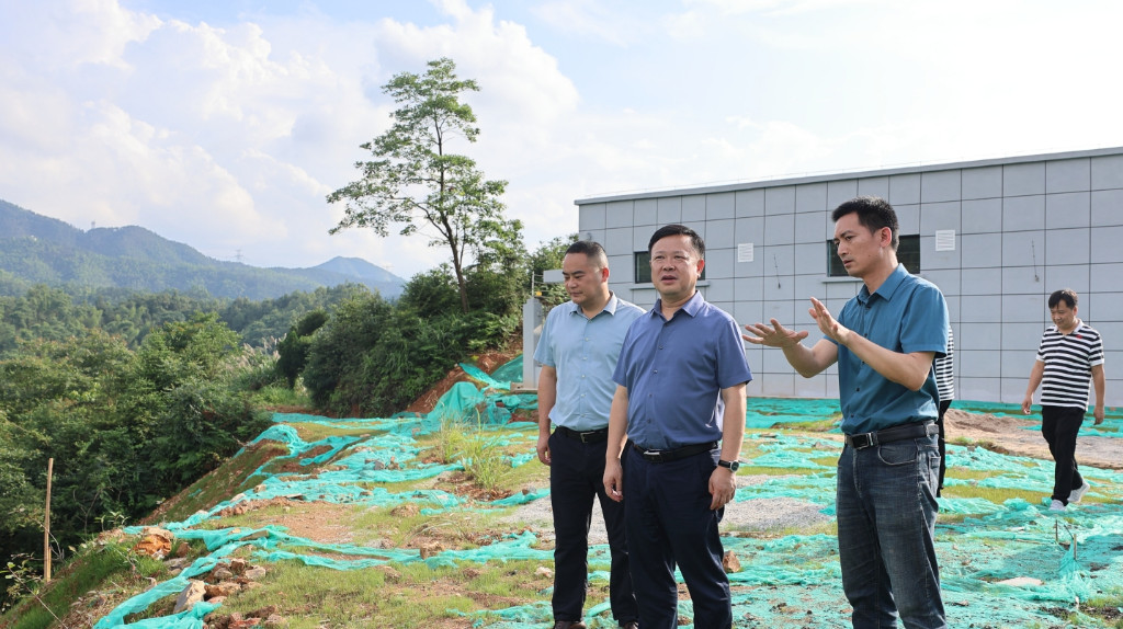 李晓彤到镇村督查生态环保工作