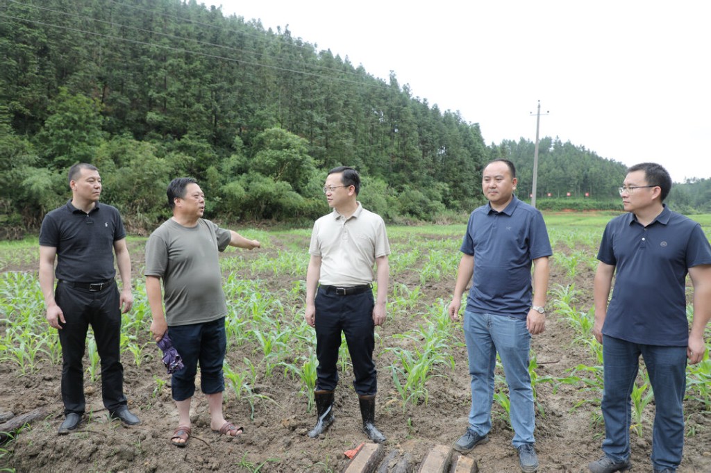 夏胜利带队调研耕地恢复工作并召开现场观摩会