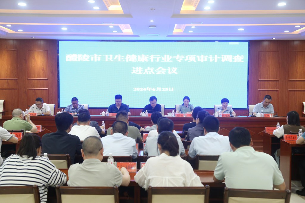 卫生健康行业专项审计调查启动
