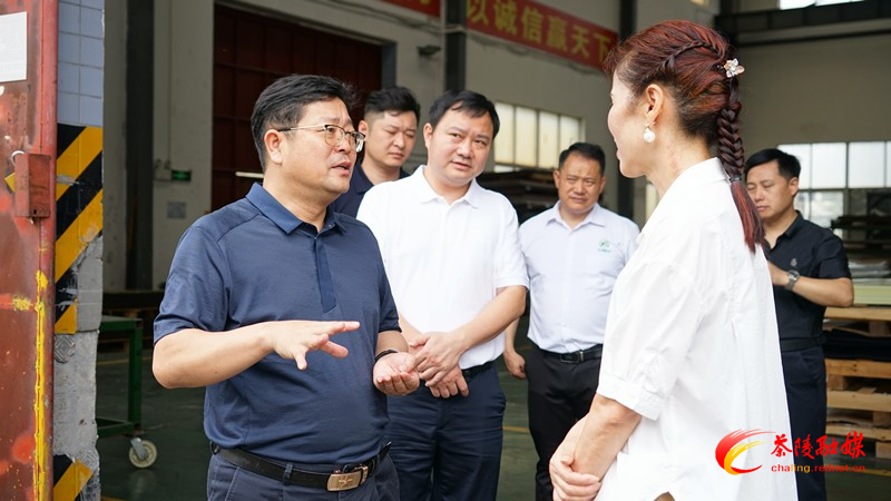 杨红兵深入企业调研解难题