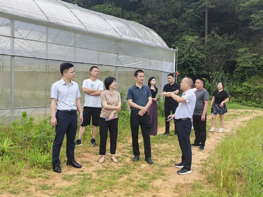 渌口区二届人大龙船镇代表小组开展 粮食生产调研活动