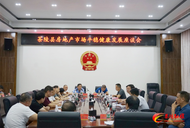 茶陵县房地产市场平稳健康发展座谈会召开