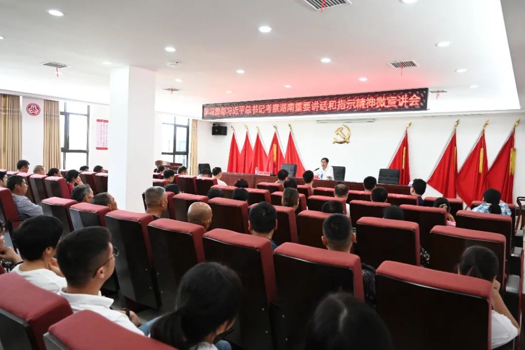 邹志超在大冲村宣讲习近平总书记考察湖南重要讲话和指示精神并开展调研