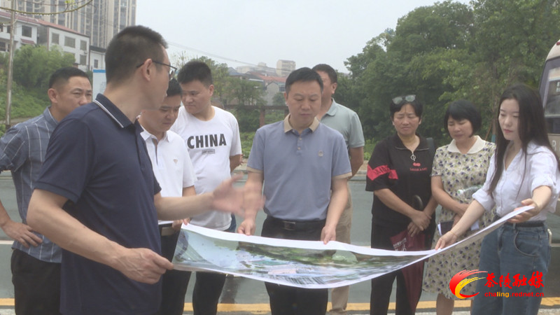 市县人大代表督办2024年市县民生实事项目