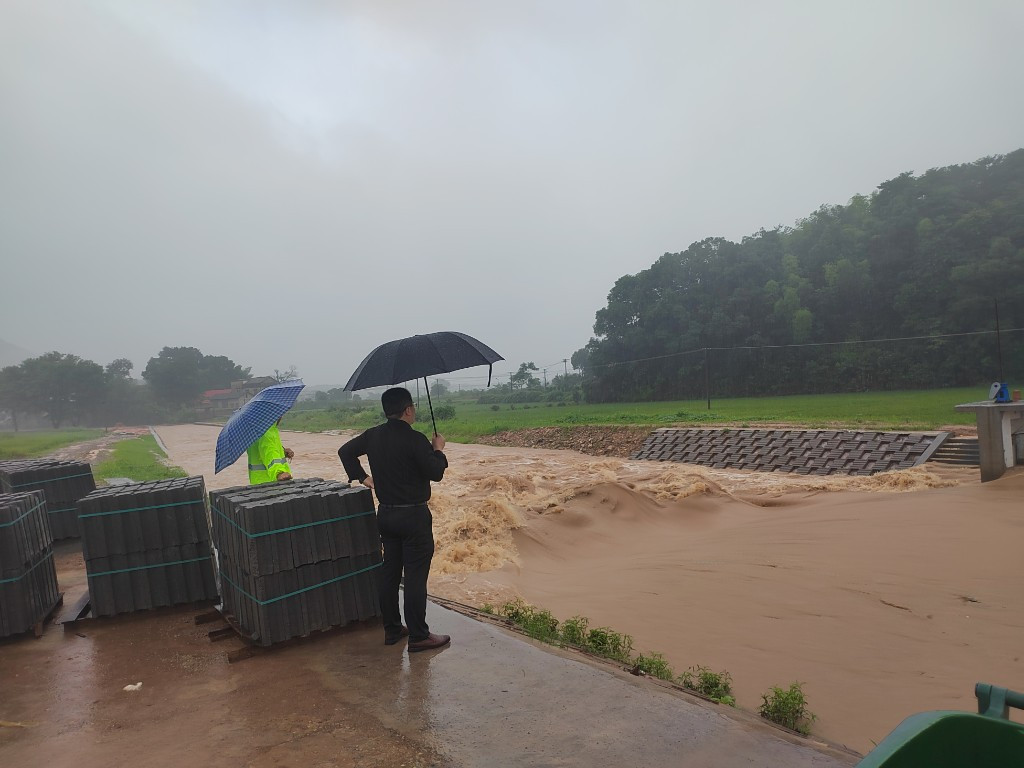 枫林镇：闻“汛”而动 雨中出击