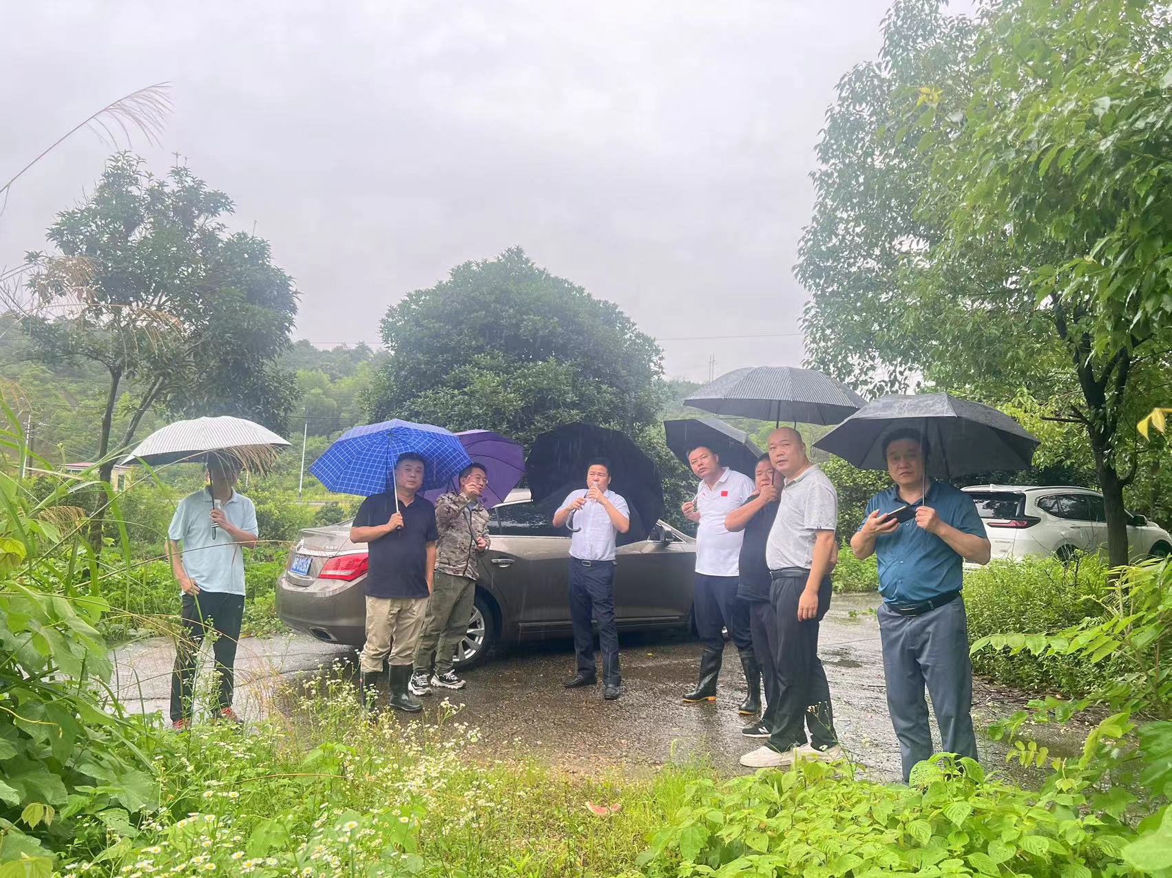 地质灾害防治，市级督导组在行动（一）