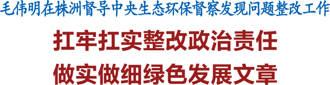 毛伟明在株洲督导中央生态环保督察发现问题整改工作