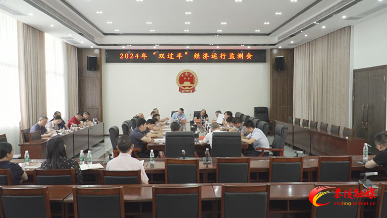 杨红兵调度2024年“双过半”经济运行监测工作