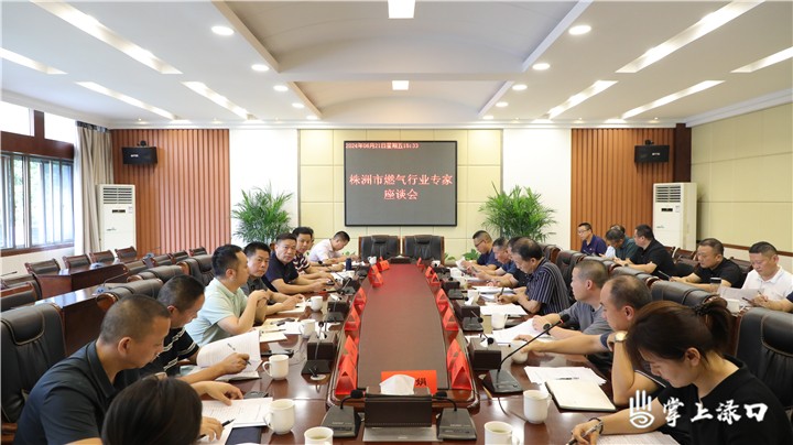 全市燃气行业专家座谈会在渌口区举行