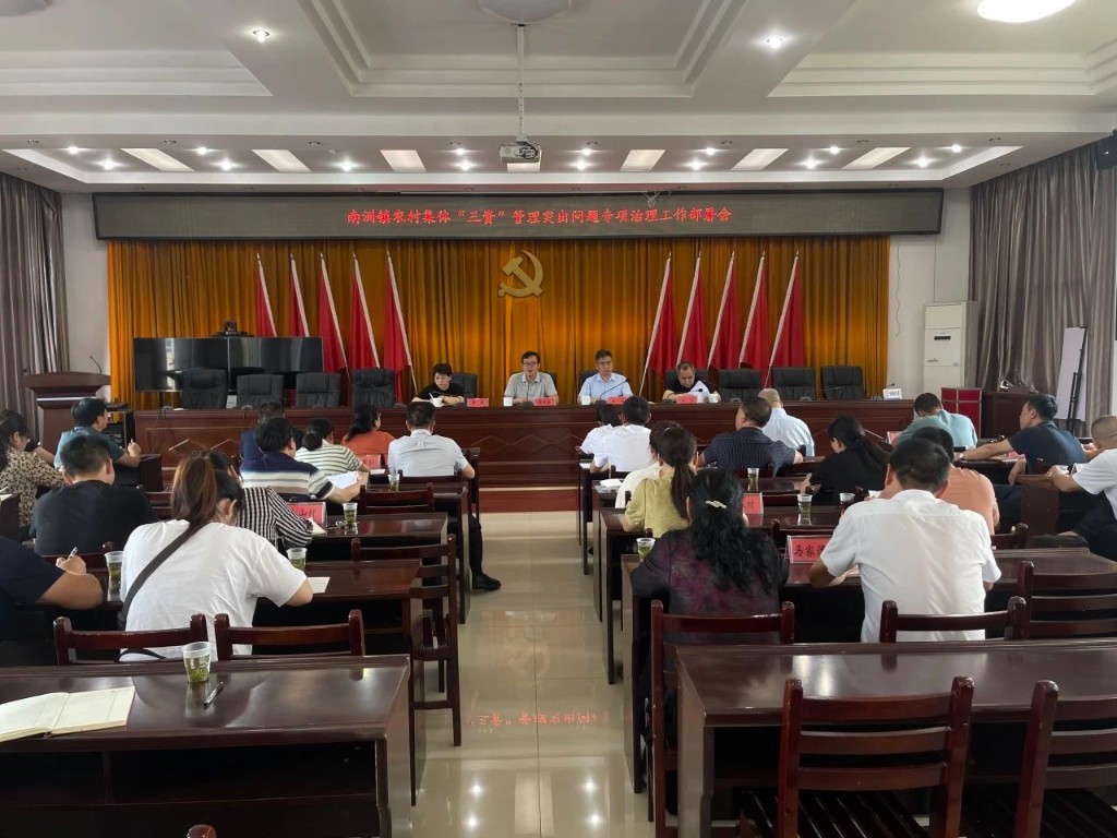南洲镇召开村集体“三资”管理突出问题专项治理工作部署会