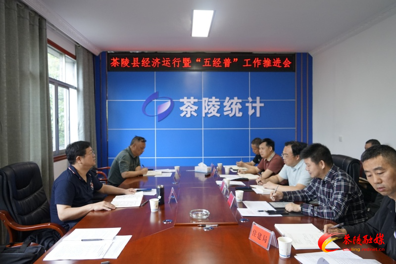 茶陵县经济运行暨“五经普”工作推进会召开