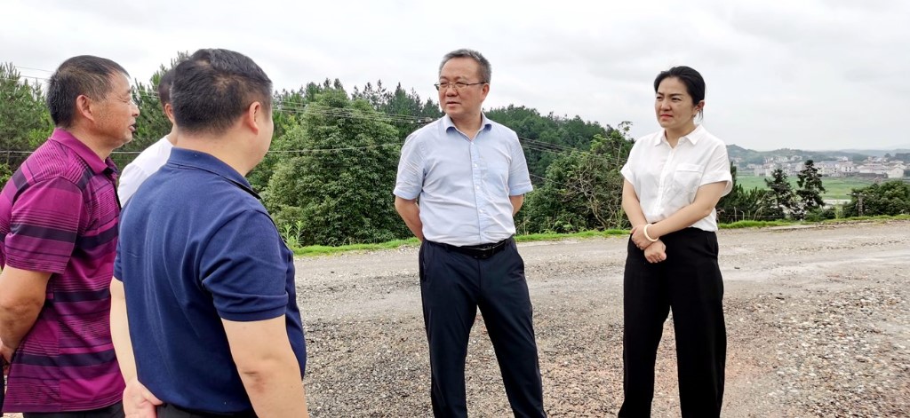 株洲市副市长杨胜跃来攸督导防汛工作