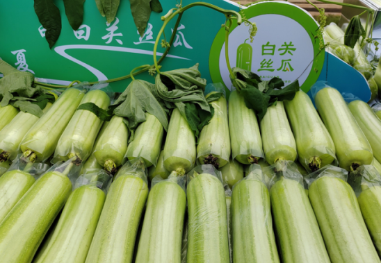 白关丝瓜闪耀京城，品牌影响持续攀升——2024白关丝瓜北京餐叙会盛大举行