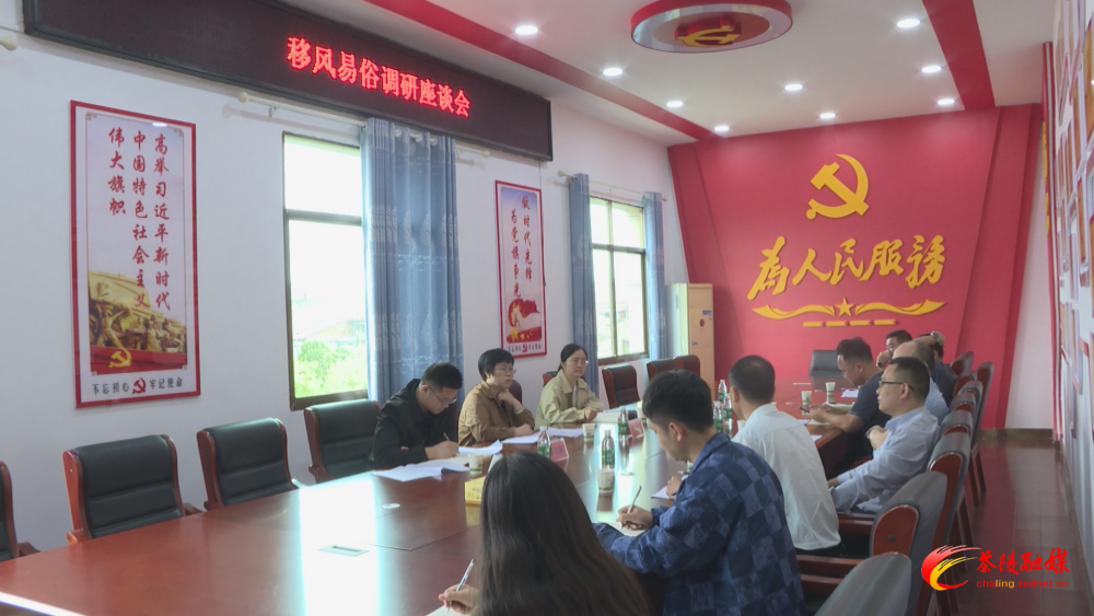 李甜甜带队到高陇镇调研移风易俗工作