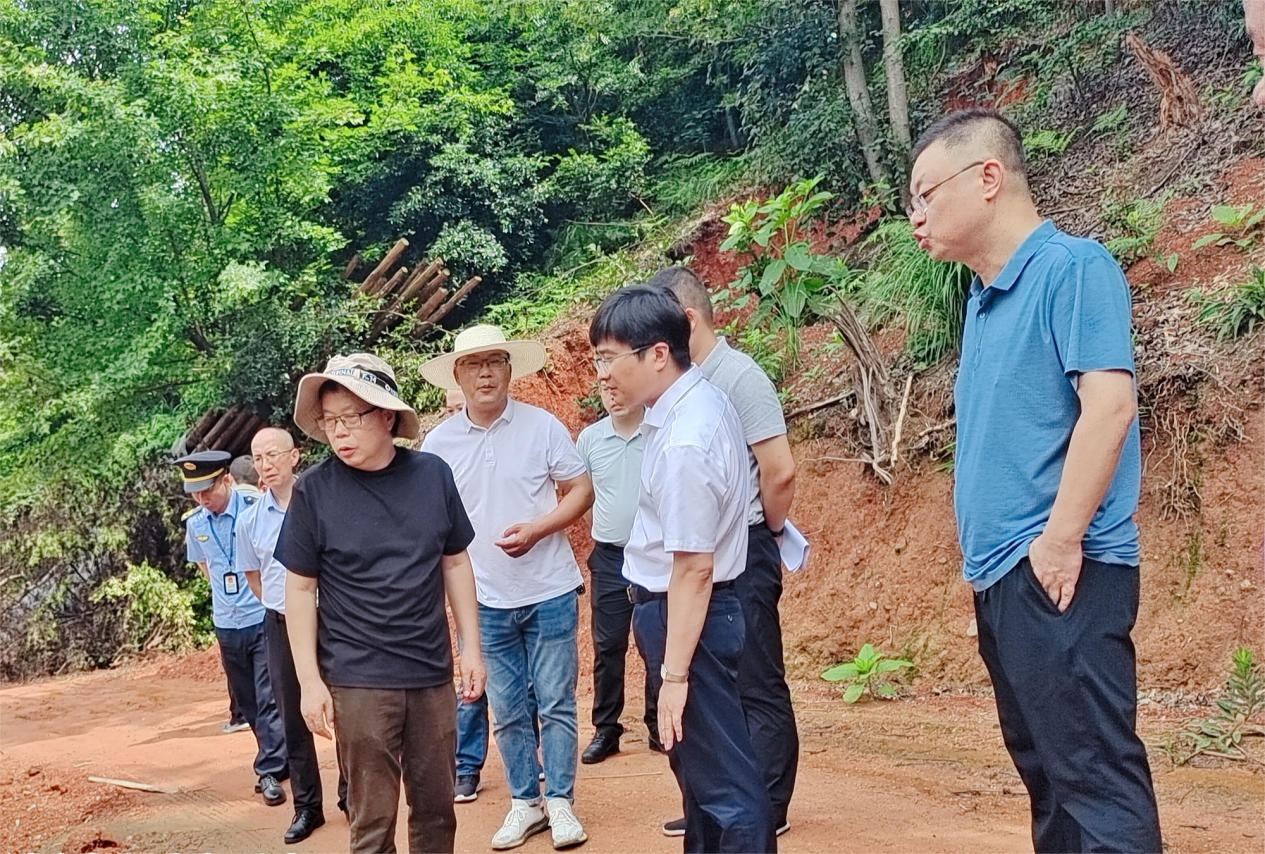 全市齐行动，狠抓突出环境问题整改！