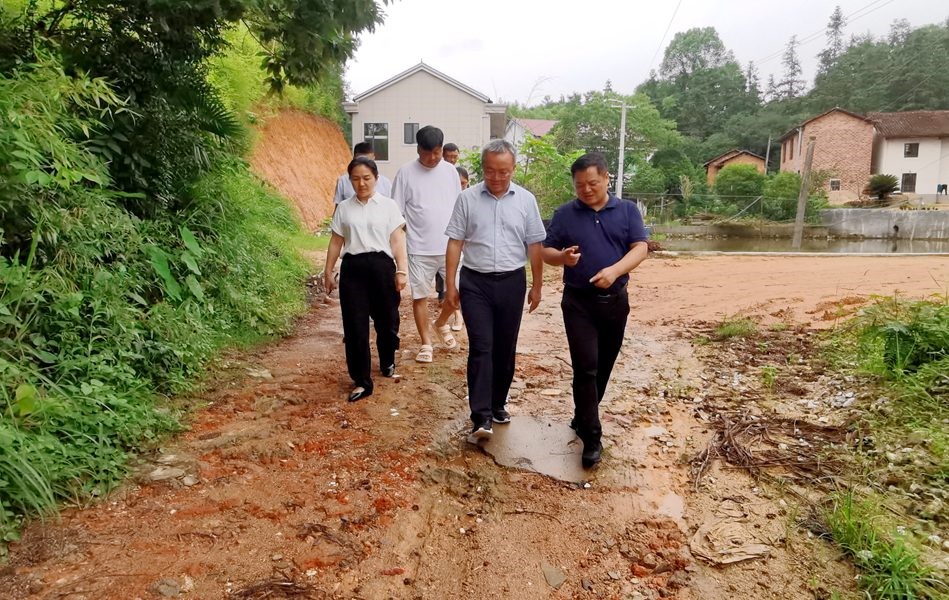 株洲市副市长杨胜跃来攸督导防汛工作