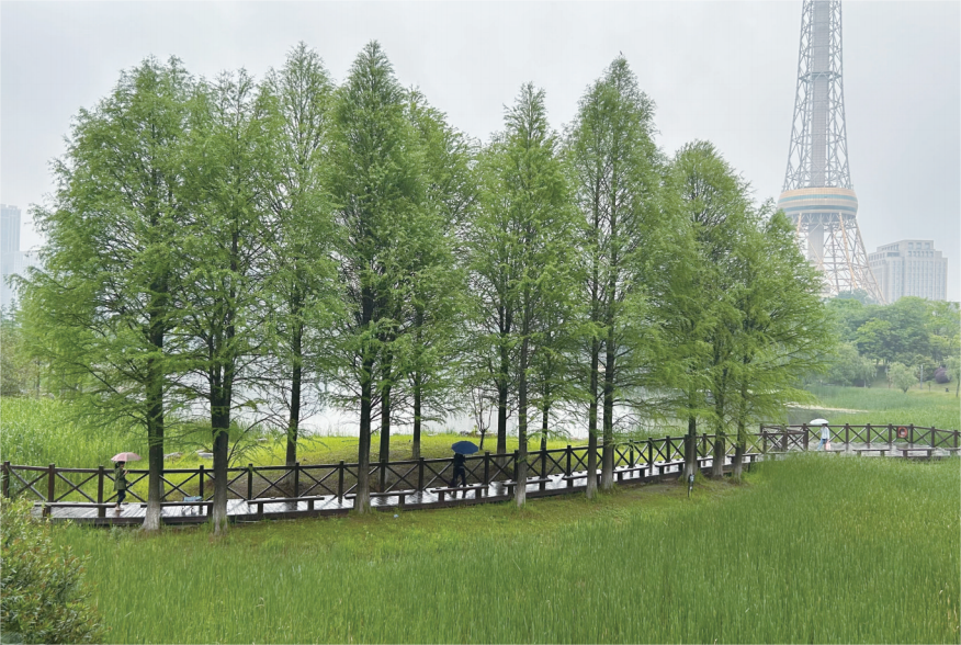 株洲市委书记、市长发表署名文章
