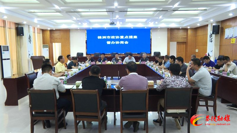 株洲市政协重点提案督办协商会在茶召开