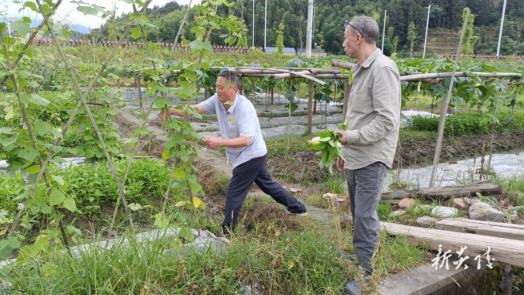 霞阳镇：积极开展农残检测 让群众吃上“放心菜”