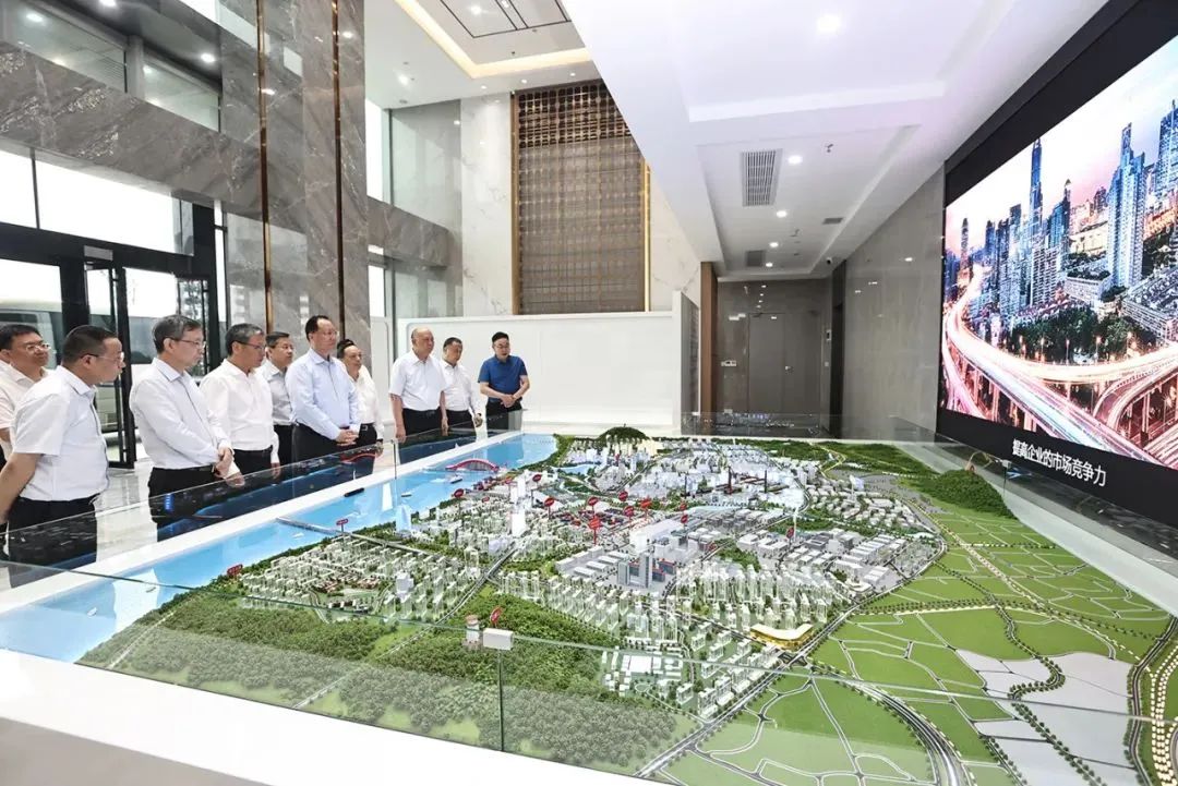 毛伟明在株洲督导中央生态环保督察发现问题整改工作
