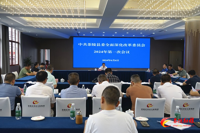 中共茶陵县委全面深化改革委员会2024年第一次会议召开