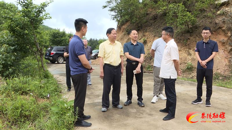 株洲市政协重点提案督办协商会在茶召开