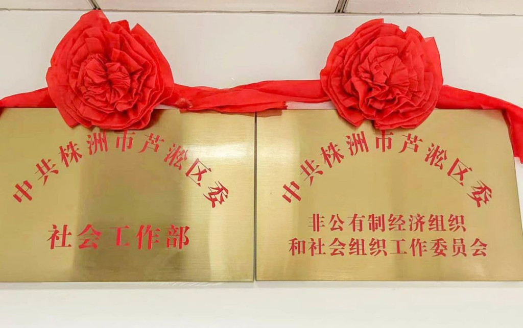 芦淞区两个新部门今天正式挂牌成立！