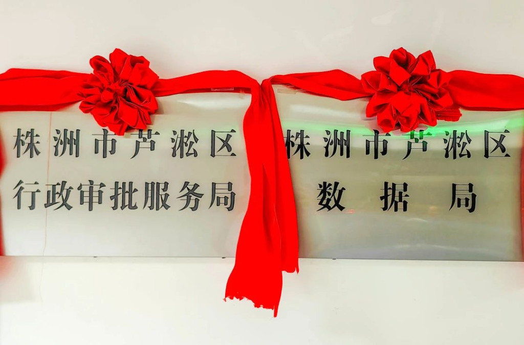 芦淞区两个新部门今天正式挂牌成立！