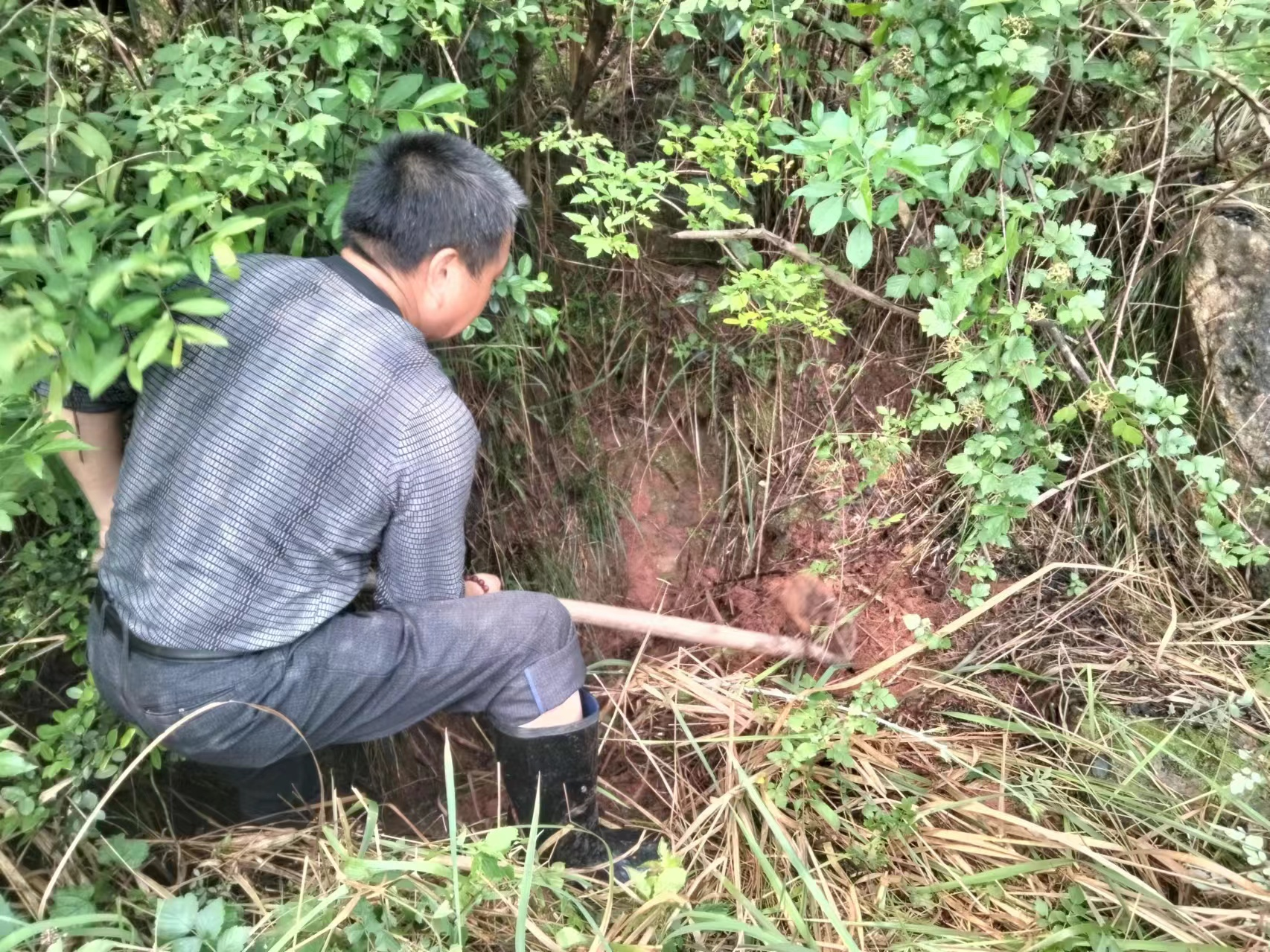 【众望攸归·乡贤有为】联星街道田富村:乡贤助力家乡发展 激发乡村振兴活力
