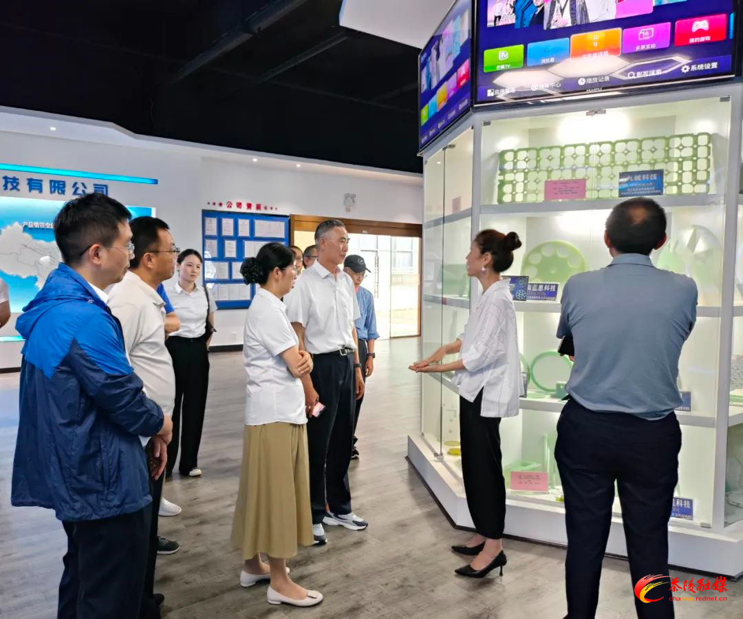 中车株洲电力机车研究所专家工作室团队来茶“下企问诊”