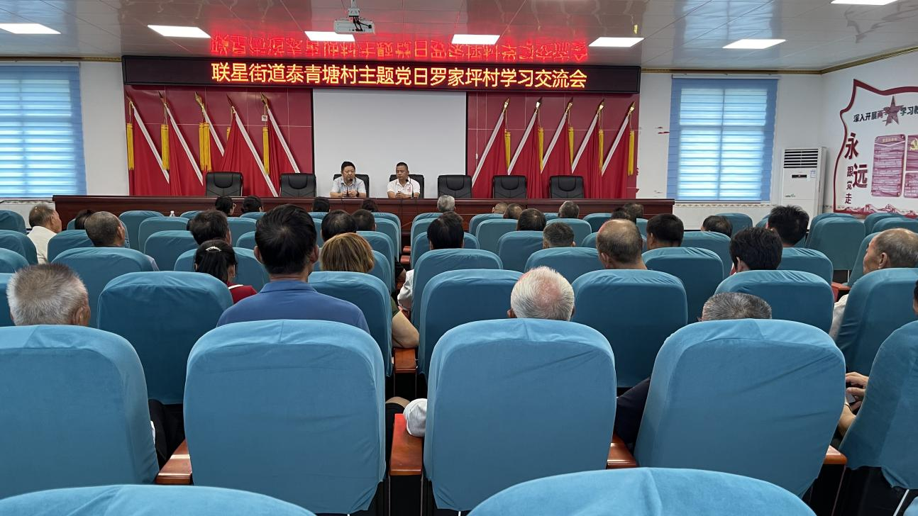 联星街道泰青塘村：强化党建引领，赋能乡村振兴