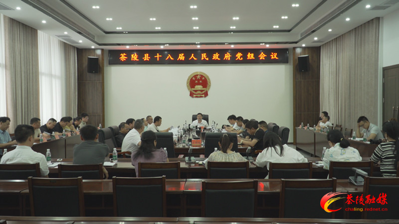 杨红兵主持召开县十八届人民政府党组会议