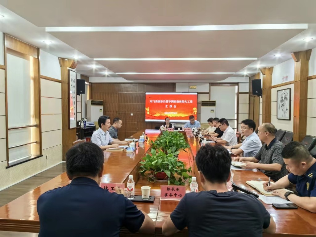 株洲市副市长刘飞勇调研森林防火工作