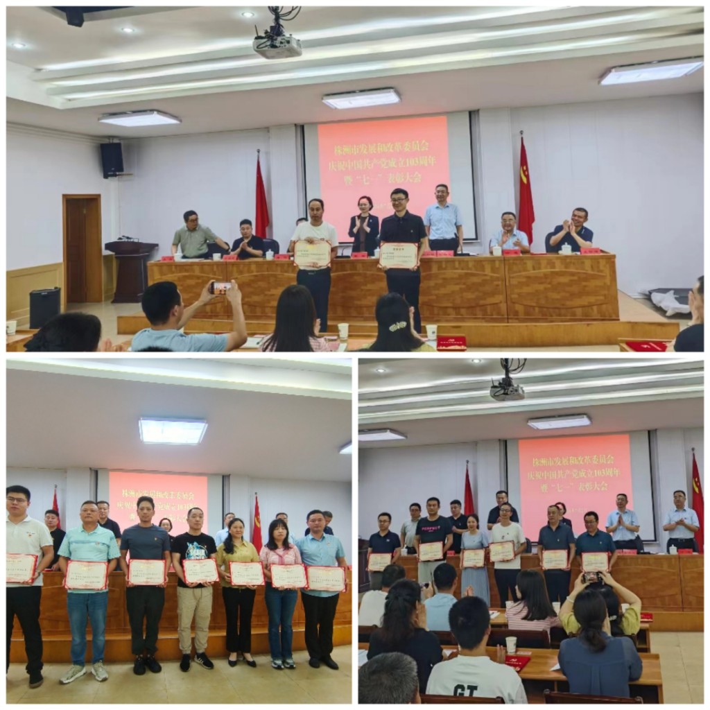 市发改委召开庆祝建党103周年 暨“七一”表彰大会