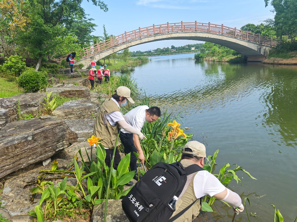 天元区河长办：清理福寿螺，筑牢万丰湖生态防线