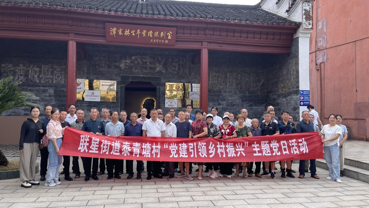 联星街道泰青塘村：强化党建引领，赋能乡村振兴