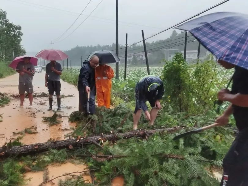 龙潭镇：以“雨”为令，闻“汛”而动——筑牢防汛抗灾的坚实屏障