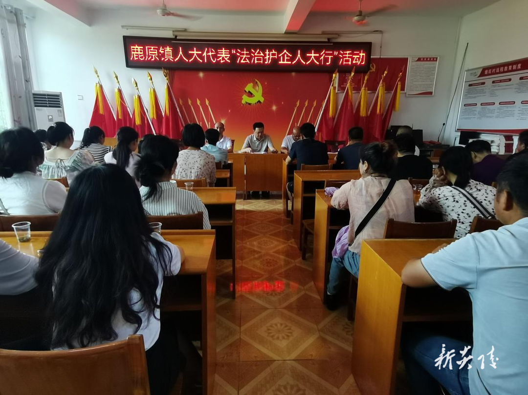 鹿原镇：代表视察提效率 法治护企显担当